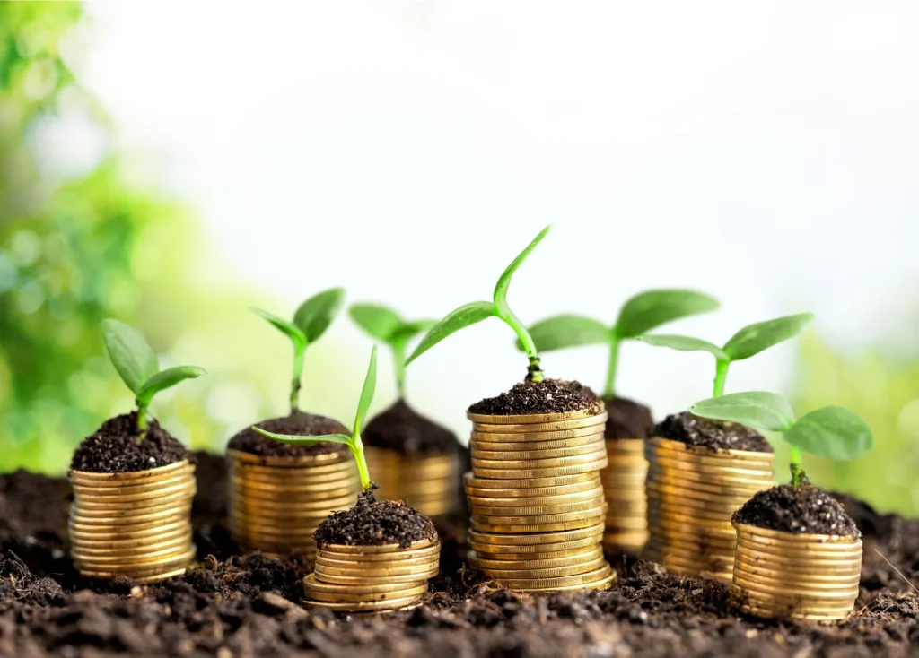 Coins in soil with young plants